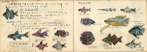 中学 時代 の 荒俣宏による『 金魚熱帯 魚 飼育日記』 大学